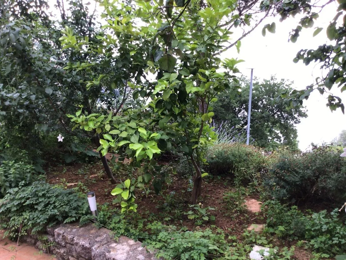 House Vali Bed & Breakfast Lovran Croatia